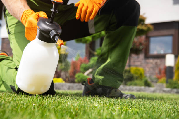 Best Mosquito Control Services  in Itasca, TX