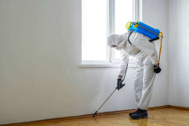 Best Mosquito Control Services  in Itasca, TX
