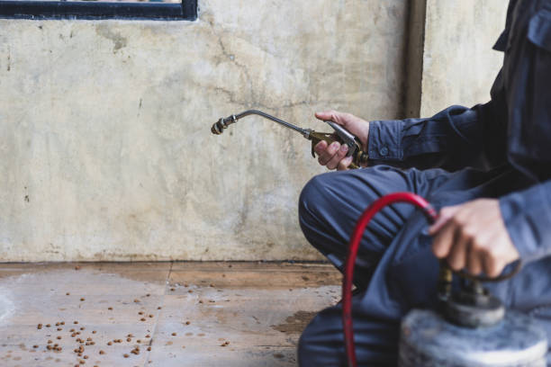 Best Affordable Pest Control Services  in Itasca, TX